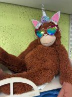 whatsapp image 2026-02-10 at 08.40.02